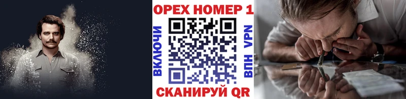 Купить где  Красноперекопск  COCAIN Fish Scale 