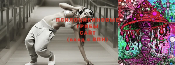 mdpv Кинешма